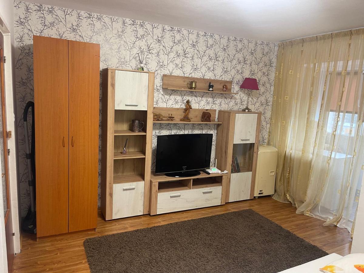 Garsoniera -Single Room 91 Bukares Bagian luar foto